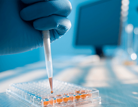 Cell Line Authentication in India