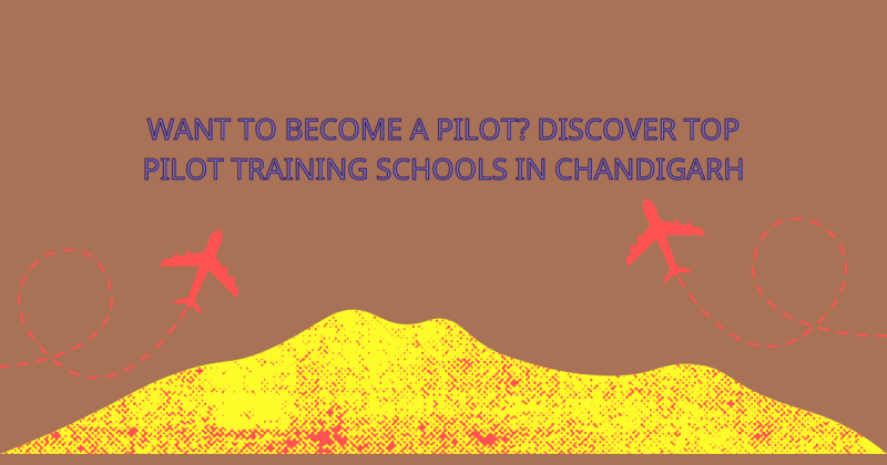 Want to Become a Pilot? Discover Top Pilot Training Schools in Chandigarh: ext_6617199 — LiveJournal